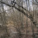 ���� ������, ������, 36 ��� - ��������� 15 ������ 2015 � ������ ���� ����������