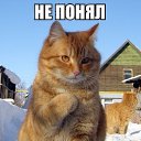 ���� ����, ���������, 52 ���� - ��������� 8 ����� 2015 � ������ ����������