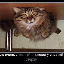 ���� Nataliya, �������, 52 ���� - ��������� 25 ������� 2014 � ������ ������ ��������