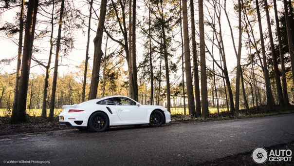 Porsche 911 Turbo S (991), 2013-..   B6 Bi-Turbo (3800 )  560 .. ... - 5