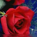 ���� �������, �����-���������, 58 ��� - ��������� 28 ����� 2015 � ������ ������ ��������