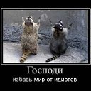 ���� Natali, ������ - ��������� 3 ������ 2015 � ������ ������ ��������