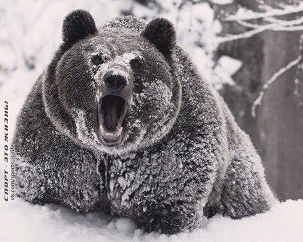  ! - 6