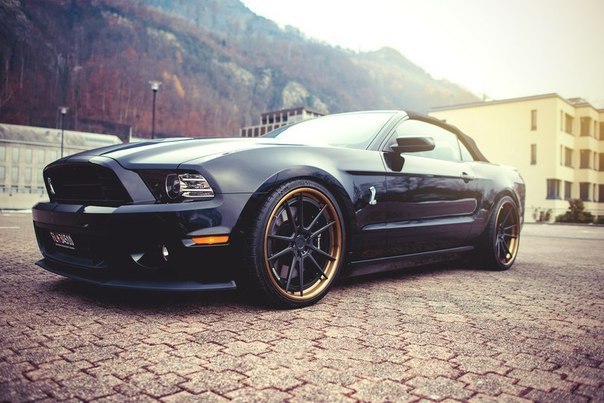 Shelby GT500 - 5