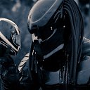 ���� �������, ����, 44 ���� - ��������� 6 ������ 2015 � ������ ���� ����������