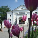 2011-05 ,       
