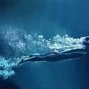 ���� �������, ����������, 51 ��� - ��������� 11 ������� 2015