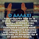 ���� Anar, ���� - ��������� 1 ������ 2015 � ������ ���� ����������