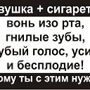 ���� ����, ������ - ��������� 26 ������ 2015 � ������ ������ ��������
