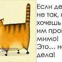 ���� �������, ����������� - ��������� 17 ������ 2015 � ������ ������ ��������