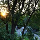 ���� ��������, ���������, 48 ��� - ��������� 3 ������� 2015 � ������ ���� ����������