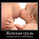 ���� ����, �����-���������, 59 ��� - ��������� 5 ������ 2015 � ������ �������
