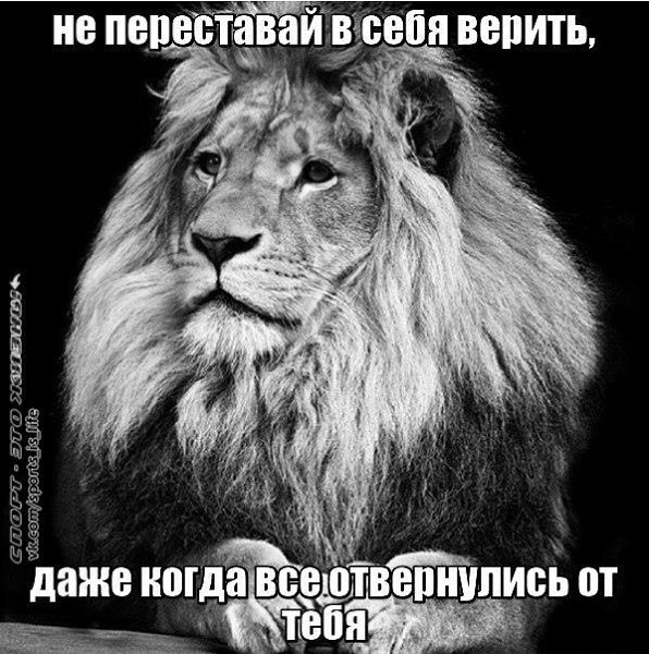  -   - 12  2015  22:35