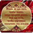 ���� �������, ����������� - ��������� 7 ������ 2015 � ������ ���� ����������