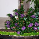 ���� ������, �����������, 56 ��� - ��������� 16 ������� 2015 � ������ ������ � ������ � ���