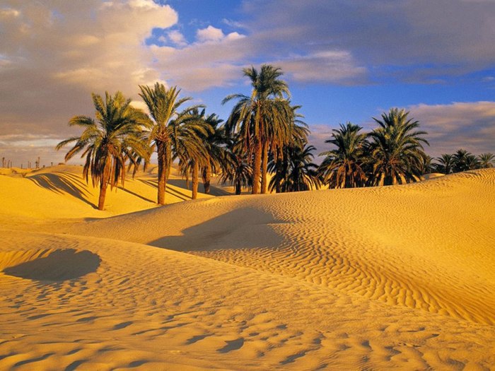    -   (Sahara Desert).     .   ... - 3