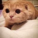 ���� ����, ������ - ��������� 26 ����� 2015 � ������ �����