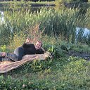 ���� �������, ������ �����, 55 ��� - ��������� 28 ������� 2015 � ������ ������ ��������