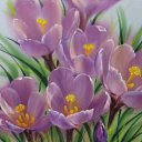 ���� ***�������***, �������� - ��������� 6 ������ 2015 � ������ �������..�