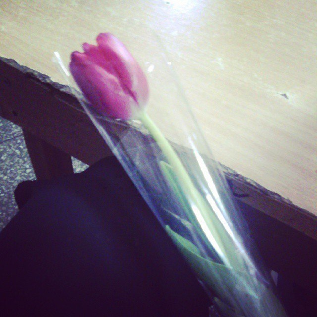 ��������� #������� #��������