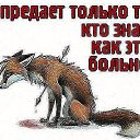 ���� ������, ������-��-����, 67 ��� - ��������� 28 ����� 2015 � ������ ������ ��������