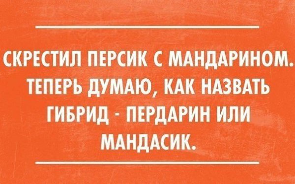   - 31  2014  15:03