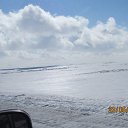 ���� ������, ������ - ��������� 8 ����� 2015 � ������ ���� ����������