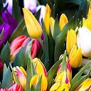 ���� �����, �����, 58 ��� - ��������� 2 ������� 2015 � ������ ������..������ ���������!�