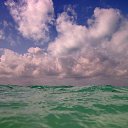  .,  , 61  -  23  2014   