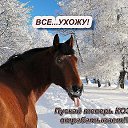 ���� ��� ����....������, ���������� - ��������� 31 ������� 2014 � ������ ������ ��������