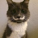 ���� ������, ���������, 45 ��� - ��������� 22 ������ 2015 � ������ ������ ��������