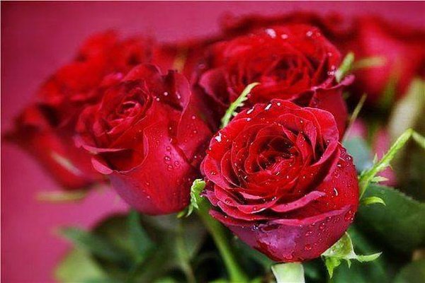  - 22  2015  09:25 - 2