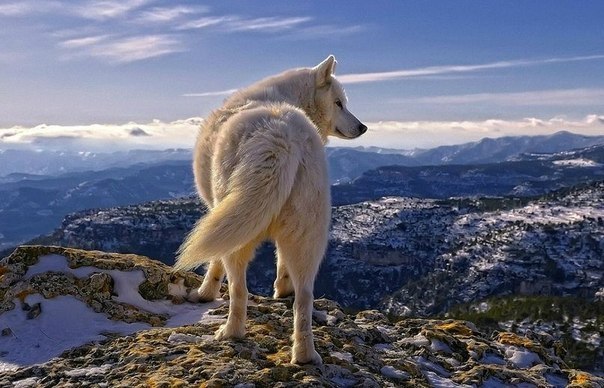     ...    ...  :  ...  ...