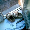 ���� ����)), �������� ������ - ��������� 12 ����� 2015 � ������ ������ ��������