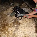 ���� ���������, �������, 53 ���� - ��������� 29 ����� 2015 � ������ ������� - ��� �������!�
