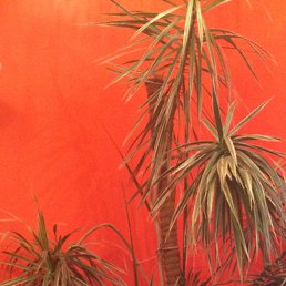 ������, ������, 68 ���