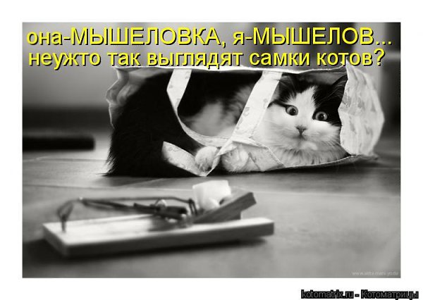 ����� �������� - 25 ������ 2015 � 12:17