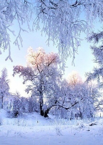   |  |  - 21  2015  13:40 - 6