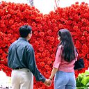 ���� ��������, ������� - ��������� 14 ������� 2015 � ������ ������ ��������