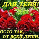 ���� �������, ����� - ��������� 8 ������ 2015 � ������ �������� ��������