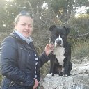  , , 42  -  6  2015     )))