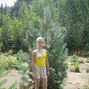 ���� ������, ������������, 28 ��� - ��������� 29 ����� 2015 � ������ ���� ����������