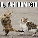���� Kolya, ����, 52 ���� - ��������� 31 ����� 2015 � ������ ���������