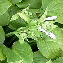  , , 58  -  25  2015     - 