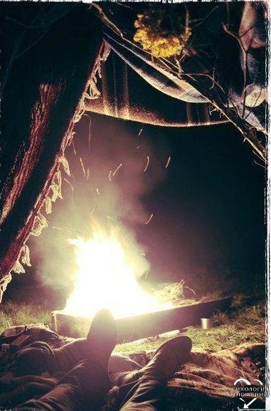    ,            .    ... - 3