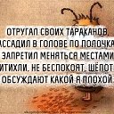  , -, 51  -  30  2015    