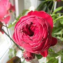 ���� ������, �������� - ��������� 18 ������� 2015 � ������ ���� �����