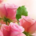 ���� ����, ���������� - ��������� 2 ����� 2015 � ������ ������ ��������