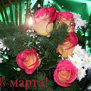 ���� ����, ���� - ��������� 7 ����� 2015 � ������ ������ ��������