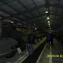 ���� ��������, ���������, 56 ��� - ��������� 7 ������ 2015 � ������ ��������